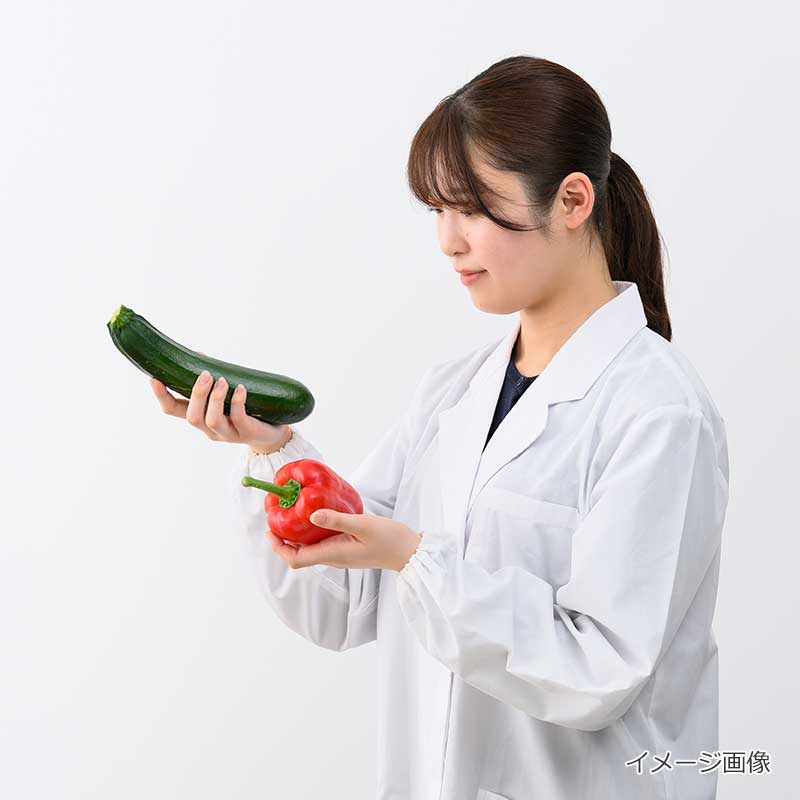 管理栄養士考案
